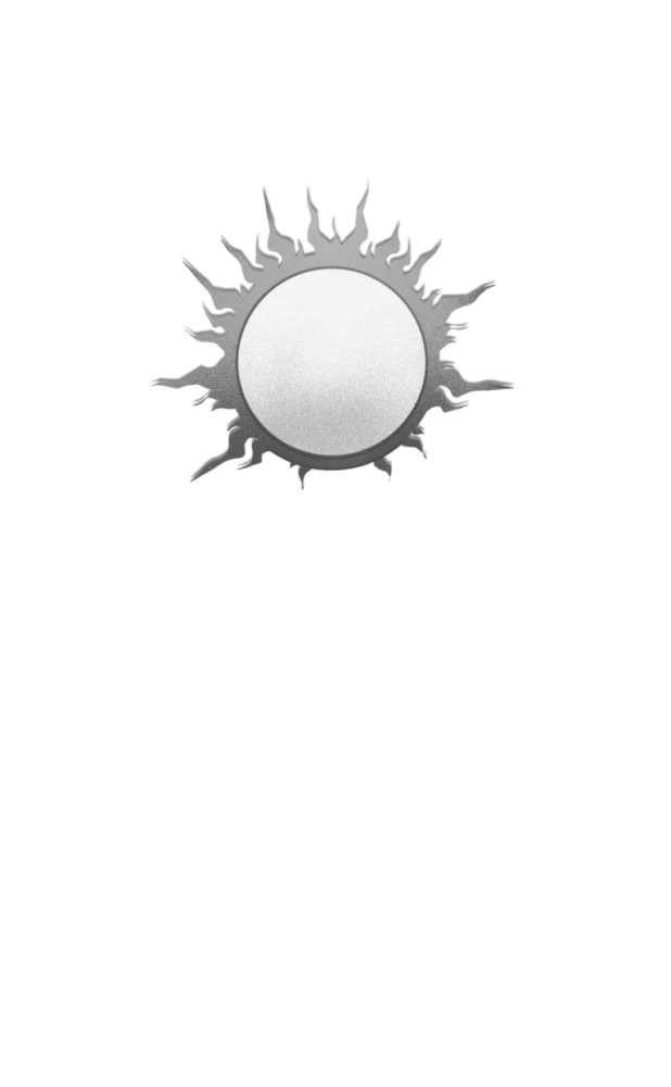 For the Sun